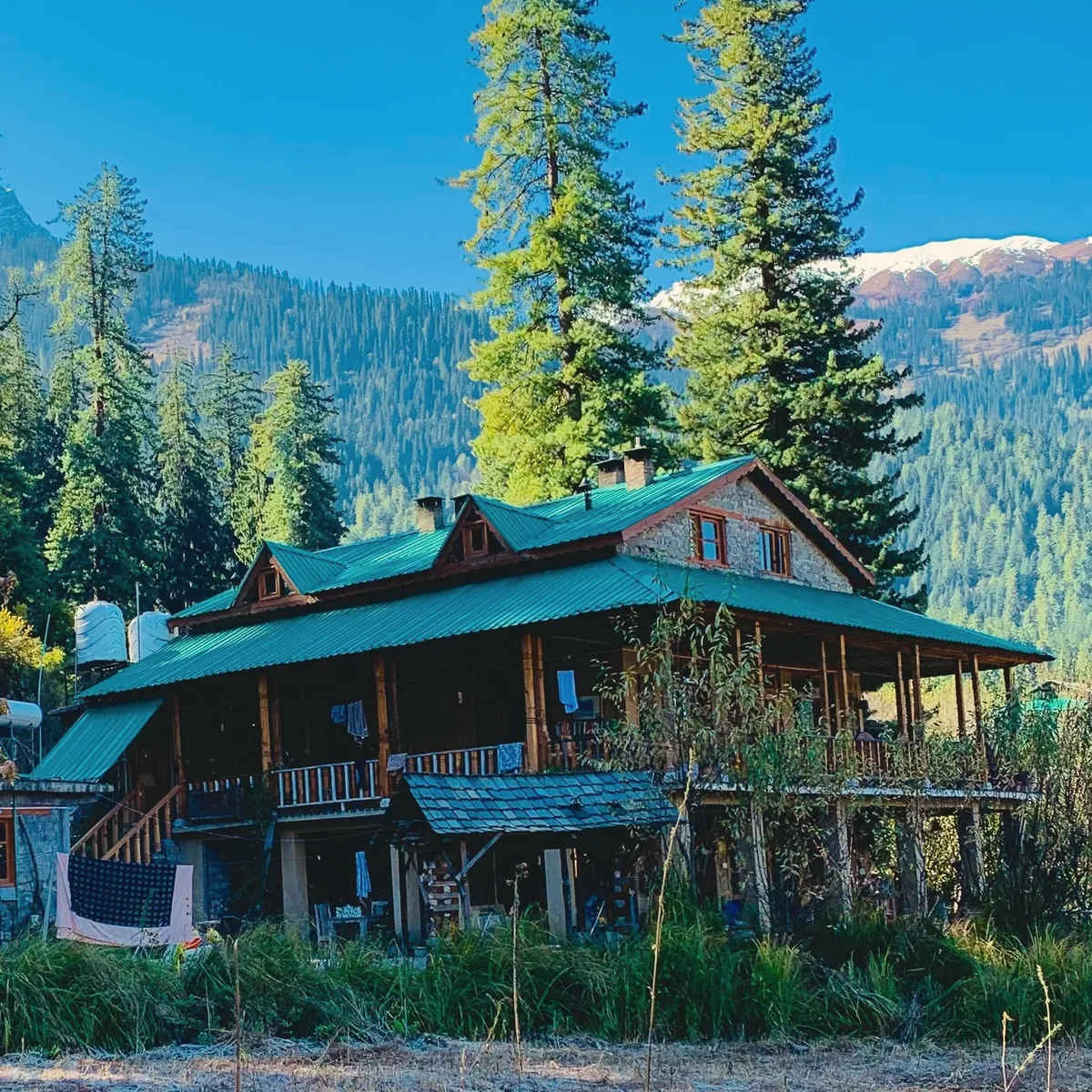 A two-storey wooden homestay with a green roof among tall deodars, snow peaks behind